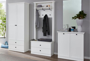 Séria do predsiene Brandson