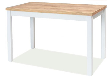 Stôl Adam 100x60 dub zlatý craft / biely mat