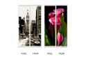 Fotografia 8 - Fasáda F-800 Fototlač WT Rim-Veneziano 2D 1,6 m