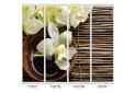 Fotografia 8 - Fasáda F-590 Fototlač WT Rim-Veneziano 2D 1,2 m
